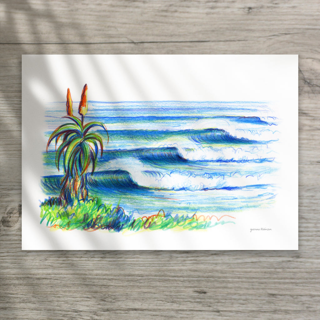 Supers Aloe Sketch