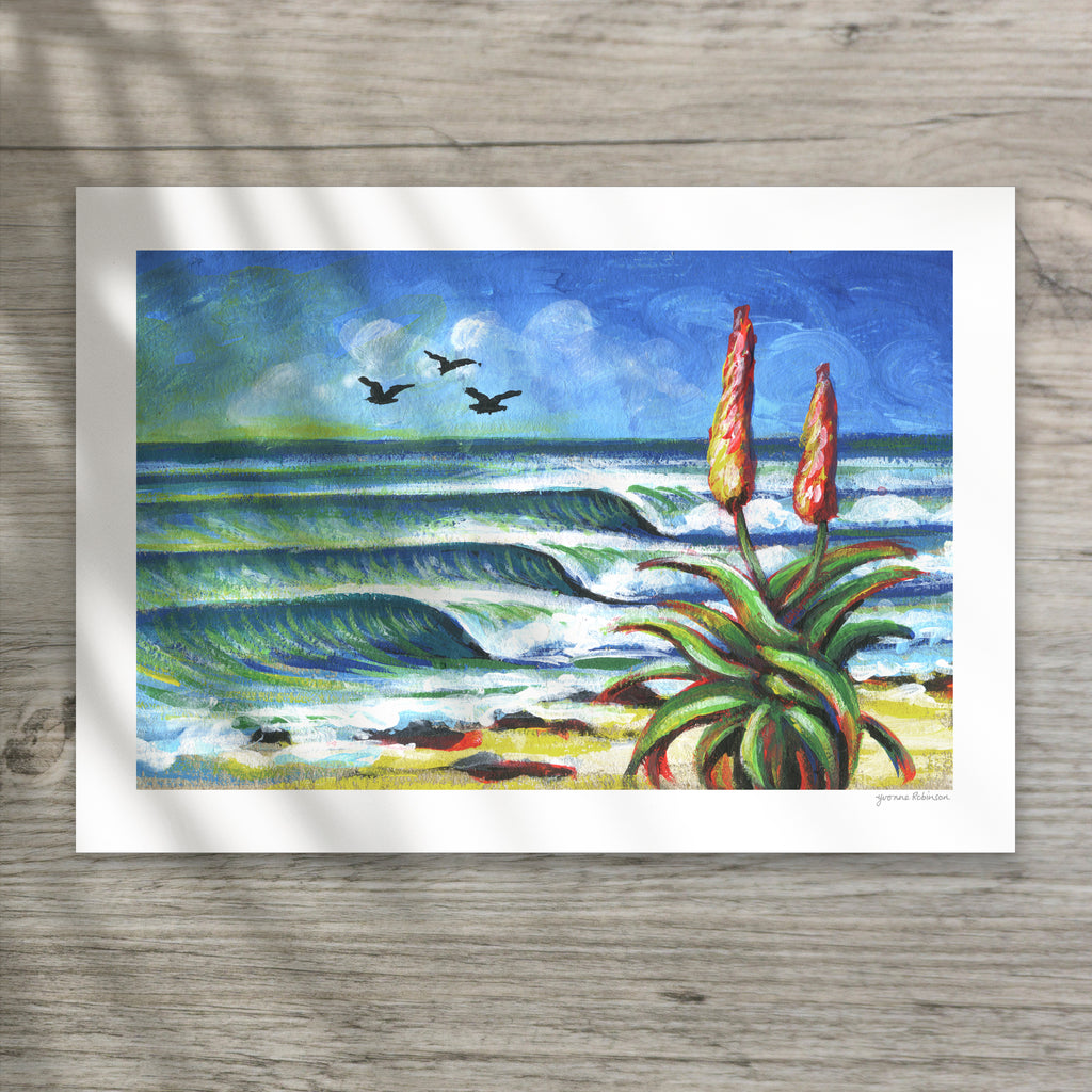 Supers Aloe Birds