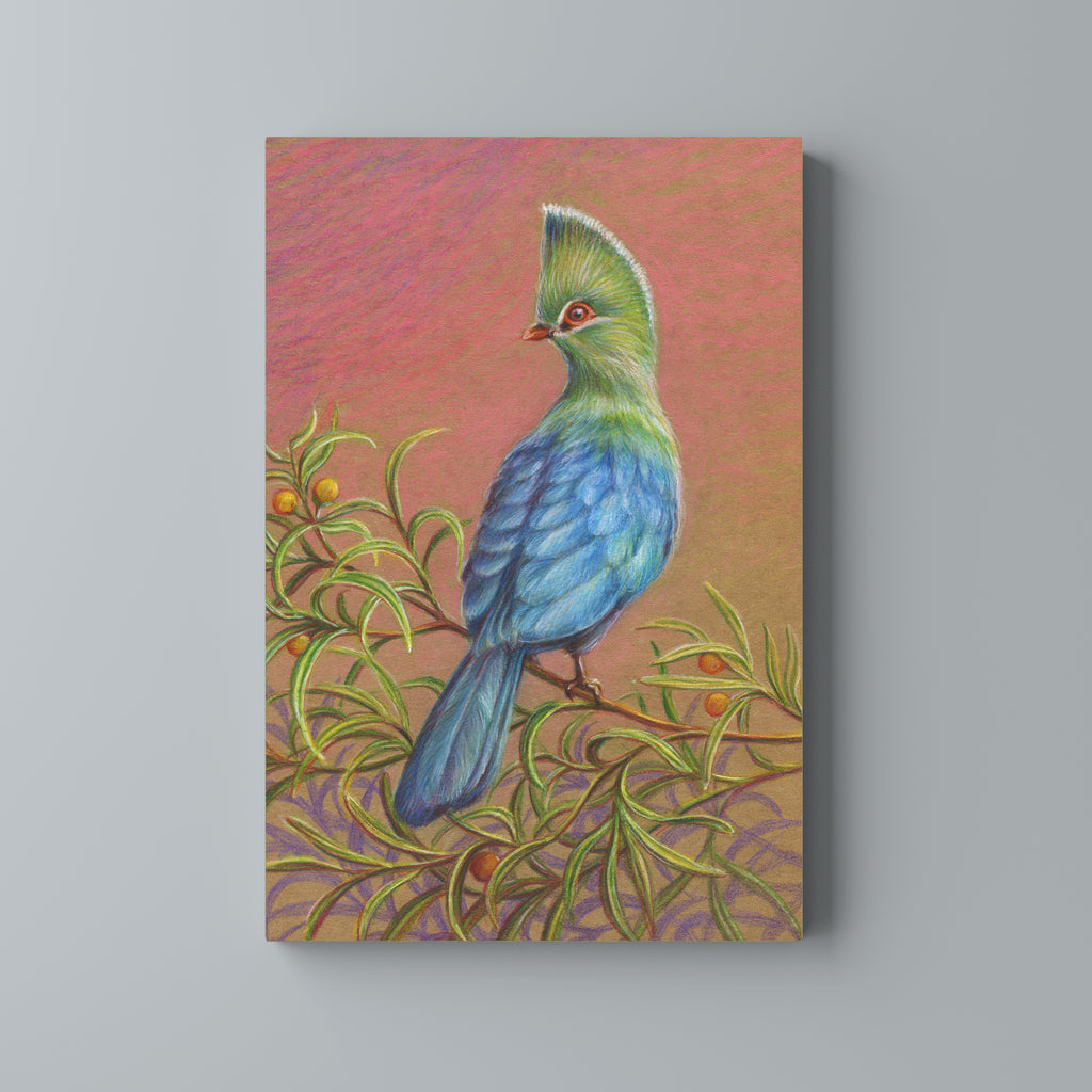 Knysna Loerie Bird