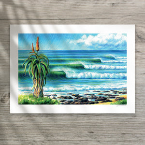 Supertubes Aloe