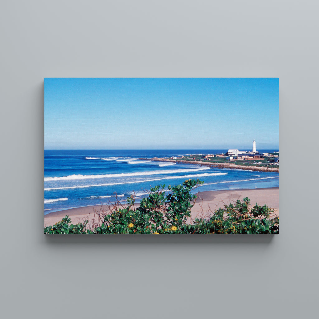 Seal Point Lookout